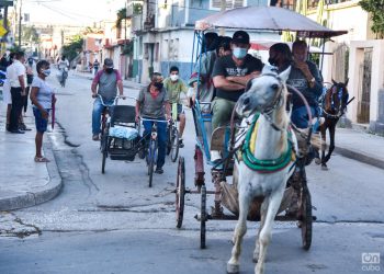 Los coches tirados por caballo siguen siendo una alternativa común ante la crisis de transporte en Cuba. Foto: Kaloian/OnCuba/Archivo.