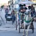 Los coches tirados por caballo siguen siendo una alternativa común ante la crisis de transporte en Cuba. Foto: Kaloian/OnCuba/Archivo.