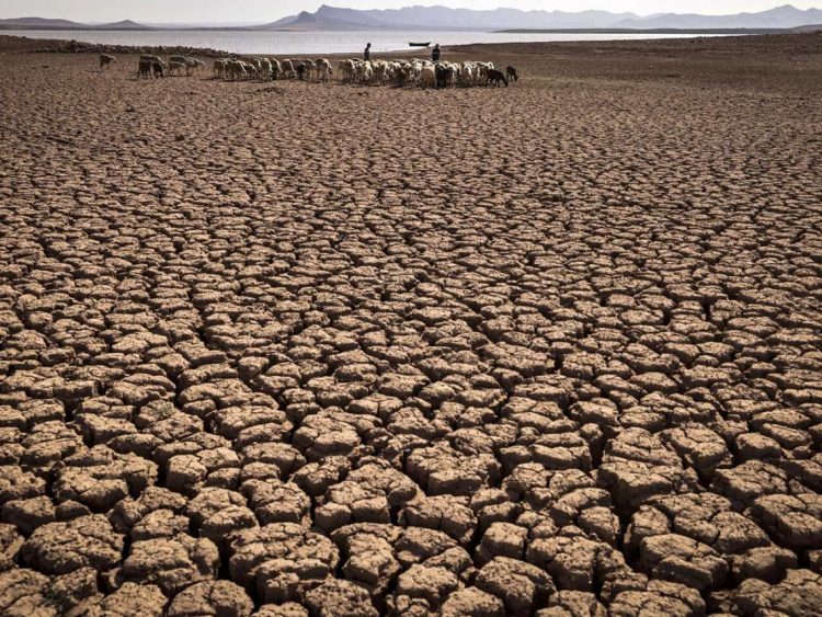 Algunas de las zonas donde el abastecimiento de agua está en niveles críticos ven su situación exacerbada por la sobreexplotación de aguas subterráneas, advierte el informe. Foto: Fadel Senna/ AFP.