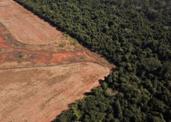 Una vista aérea muestra la deforestación cerca de un bosque en la frontera entre la Amazonia y el Cerrado en Nova Xavantina, estado de Mato Grosso, Brasil. Foto: Amanda Perobelli/Reuters.