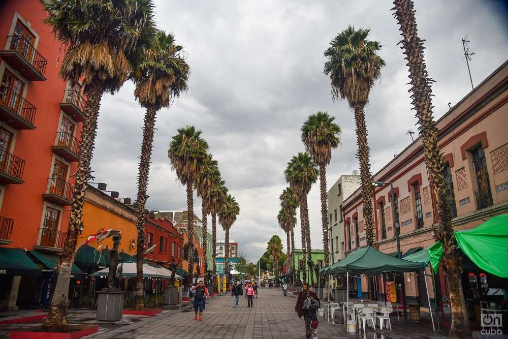 El paseo de las luminarias, en la Plaza Garibaldi.