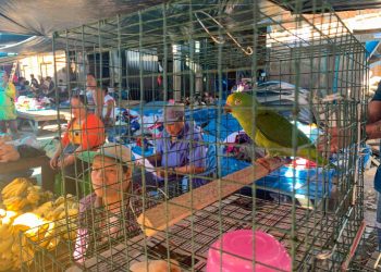 Fotografía que muestra el mercado de Iquitos el 4 de diciembre de 2022. Foto: EFE/ Paula Bayarte.