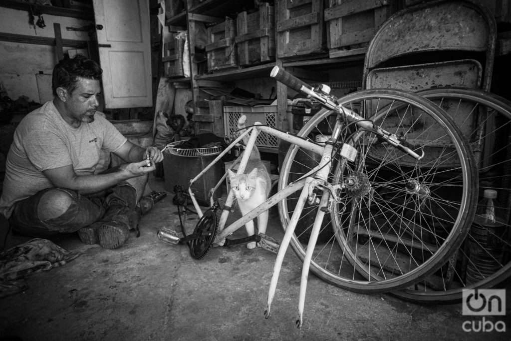Ramiro Zardoya arregla una bicicleta en La Habana Cuba con gato. Foto: Jorge Ricardo.