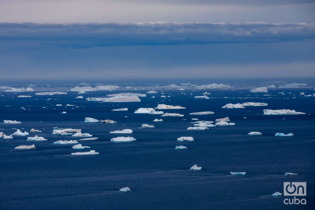 Los témpanos de hielo parecen náufragos en la inmensidad del mar antártico.
