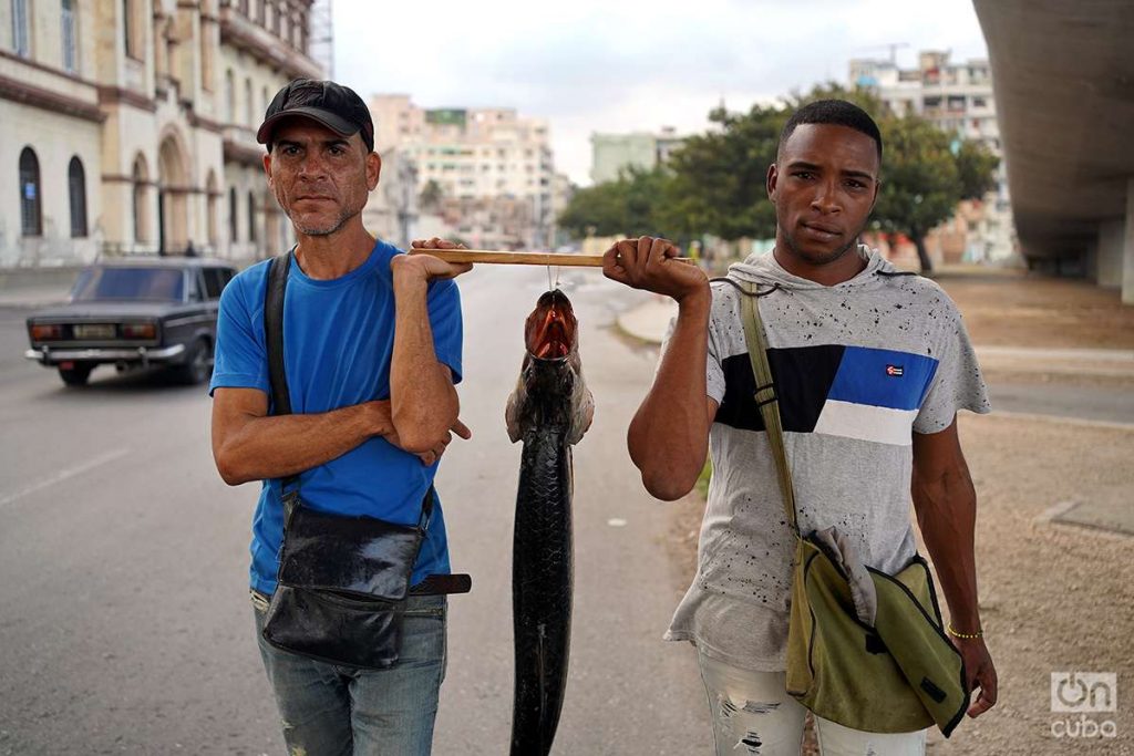 Pescadores con pescado en la ciudad de La Habana. Foto: Alejandro Ernesto.