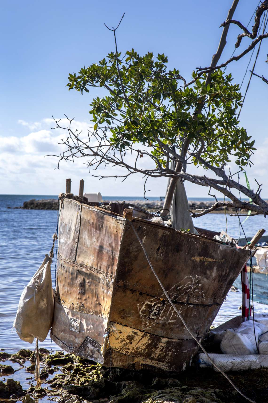 Empty boat in Tavernier Key, Florida, January 2023. Photo: EFE/EPA/Cristobal Herrera-Ulashkevich.
