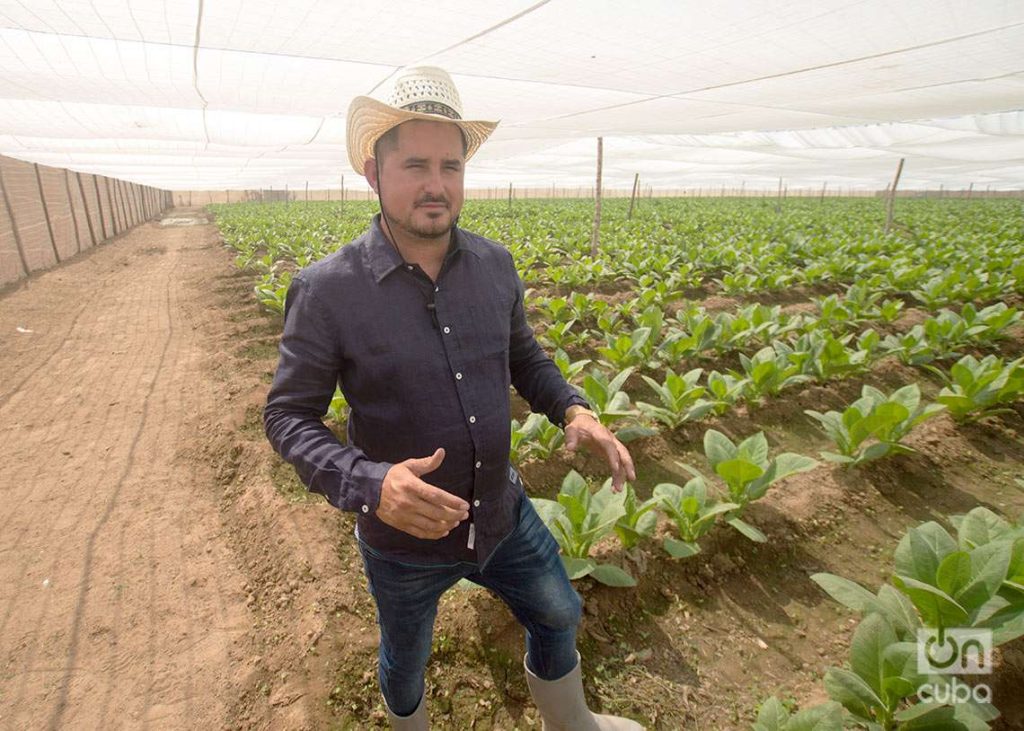 Reynel Rojas, productor de tabaco. Foto: Otmaro Rodríguez.