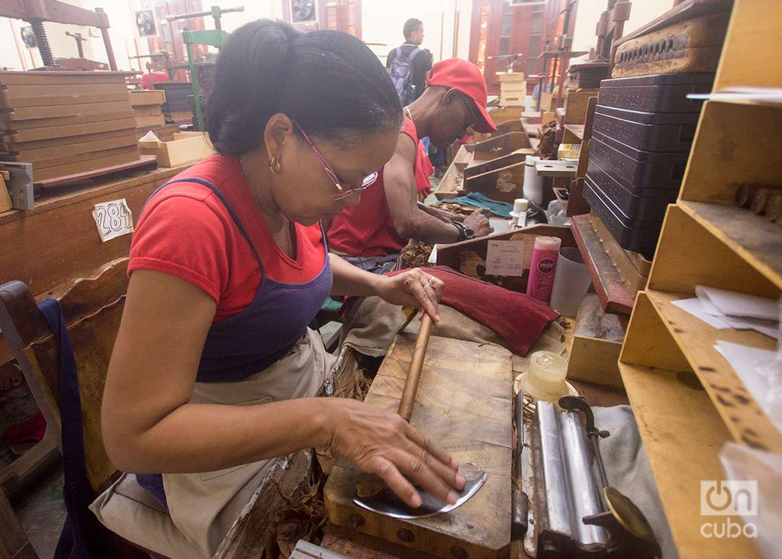 Torcedores de tabaco, fábrica de la marca de Habanos Partagás, en La Habana. Foto: Otmaro Rodríguez.