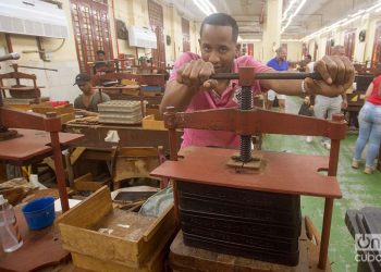 Prensado del tabaco en la fábrica de la marca de Habanos Partagás, en La Habana. Foto: Otmaro Rodríguez.