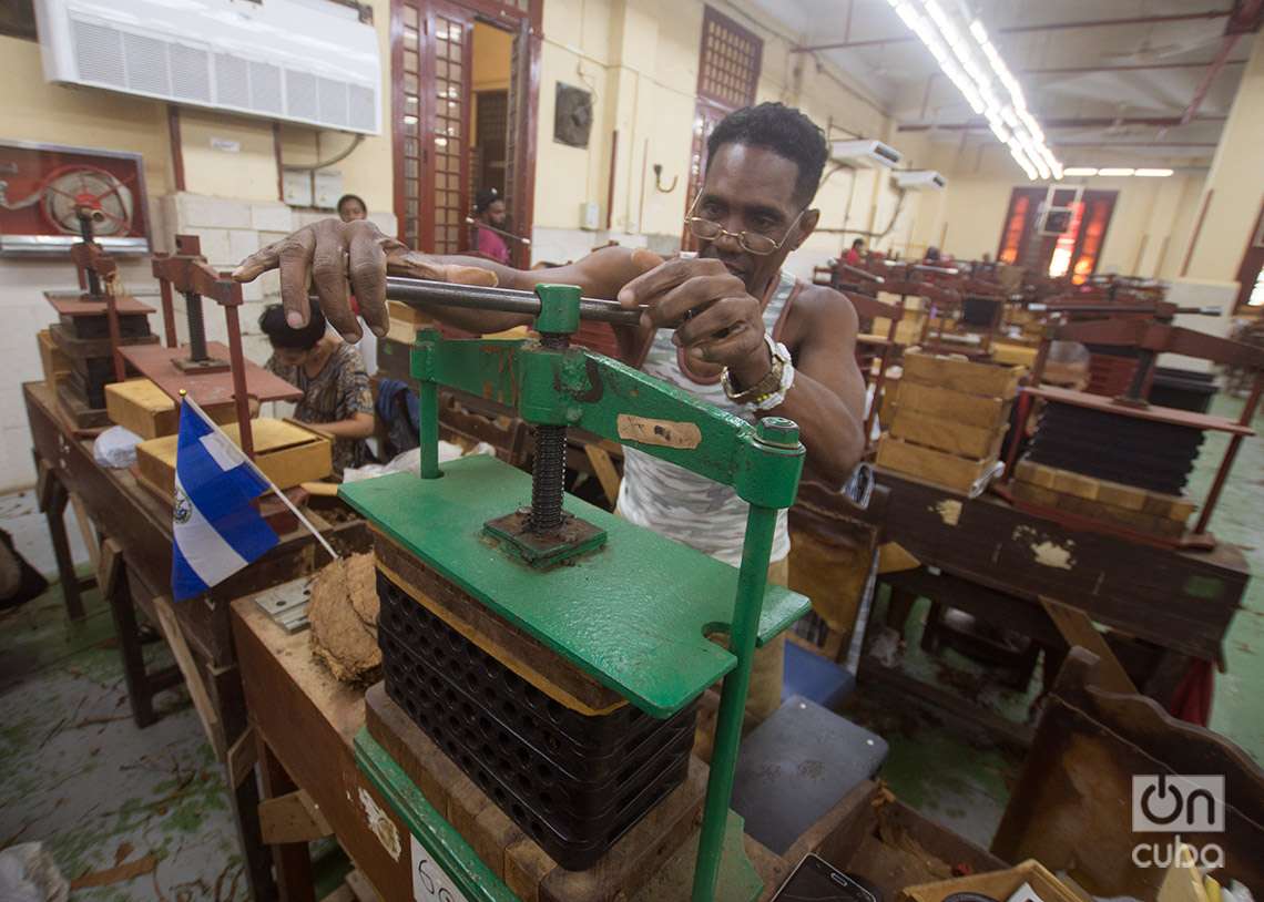 Prensado del tabaco en la fábrica de la marca de Habanos Partagás, en La Habana. Foto: Otmaro Rodríguez.