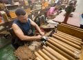 Torcedores de tabaco, fábrica de la marca de Habanos Partagás, en La Habana. Foto: Otmaro Rodríguez.