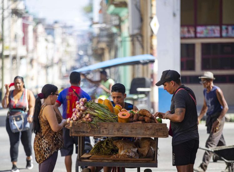 "Carretillero": vendedor ambulante de productos agrícolas en La Habana. Foto: Yander Zamora/EFE.