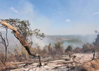 Los incendios han afectado 500 hectáreas en Pinar, en lo que va de año. Foto: Radio Guamá/Archivo.