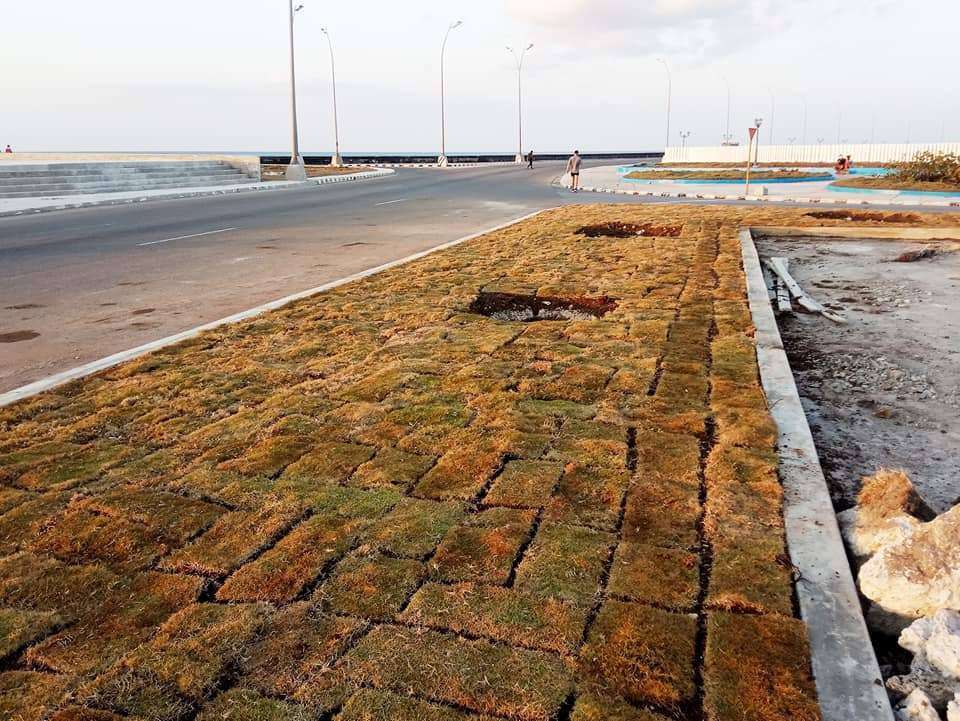 Jardineras de G y Malecón en abril de 2021, después del levantamiento de los adocretos. Foto: JC Petrirena.