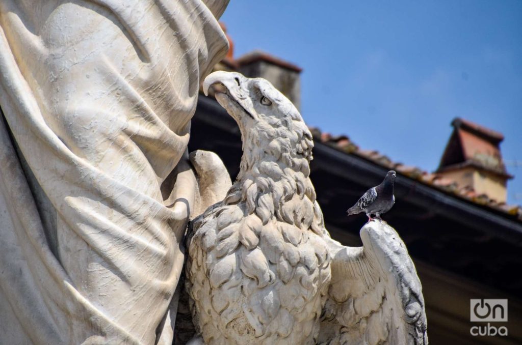 Detail of the eagle in the statue of Dante.  Photo: Kaloian.