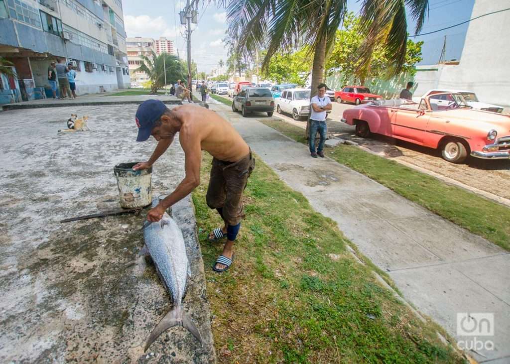 Fuel crisis in Cuba: the long wait