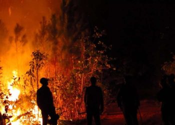 Incendio forestal en Mantua, Pinar del Río. Foto: Tele Pinar / Facebook / Archivo.