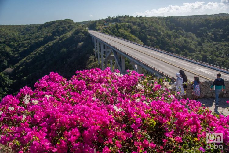 El esplendor y la hermosura de la flora rodean el paisaje donde se alza el Puente de Bacunayagua. Foto: Kaloian.