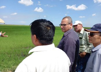 El viceministro de la Agricultura cubano, Maury Hechavarría, durante su visita a Vietnam. Foto: @MauryHechavarr1