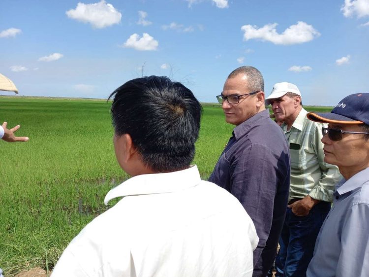 El viceministro de la Agricultura cubano, Maury Hechavarría, durante su visita a Vietnam. Foto: @MauryHechavarr1