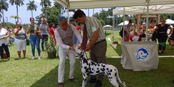 Exposición Canina en La Habana. Foto: Federación Cinológica de Cuba / Facebook / Archivo.