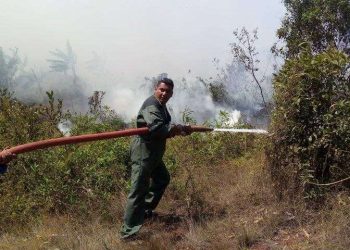 Bomberos combaten un incendio forestal en Moa, Holguín. Foto: Camilo Velazco / Facebook.