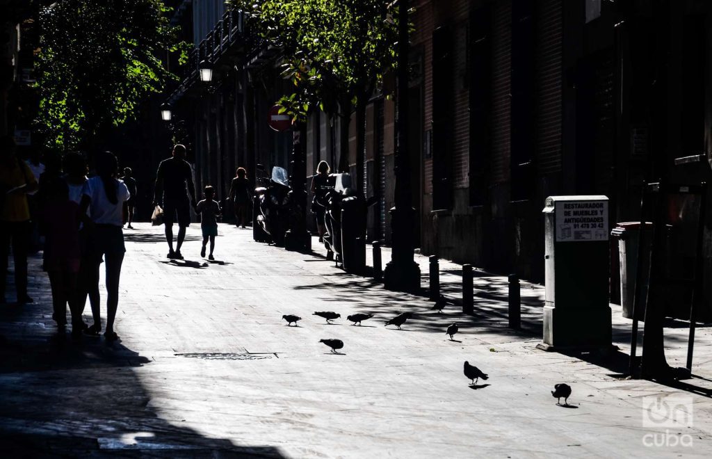 Una calle cualquiera de Madrid en pleno verano. Foto: Kaloian.

