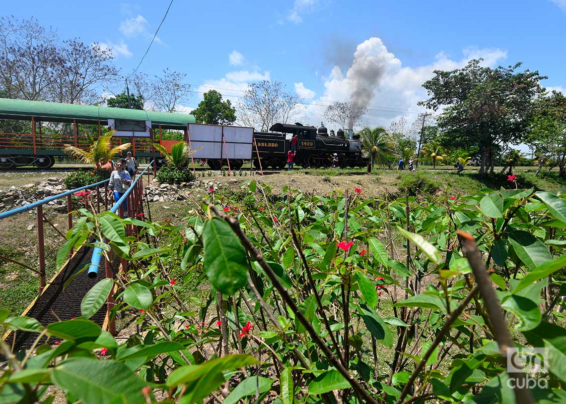 Paseo en tren de vapor en Remedios. Foto: Otmaro Rodríguez.