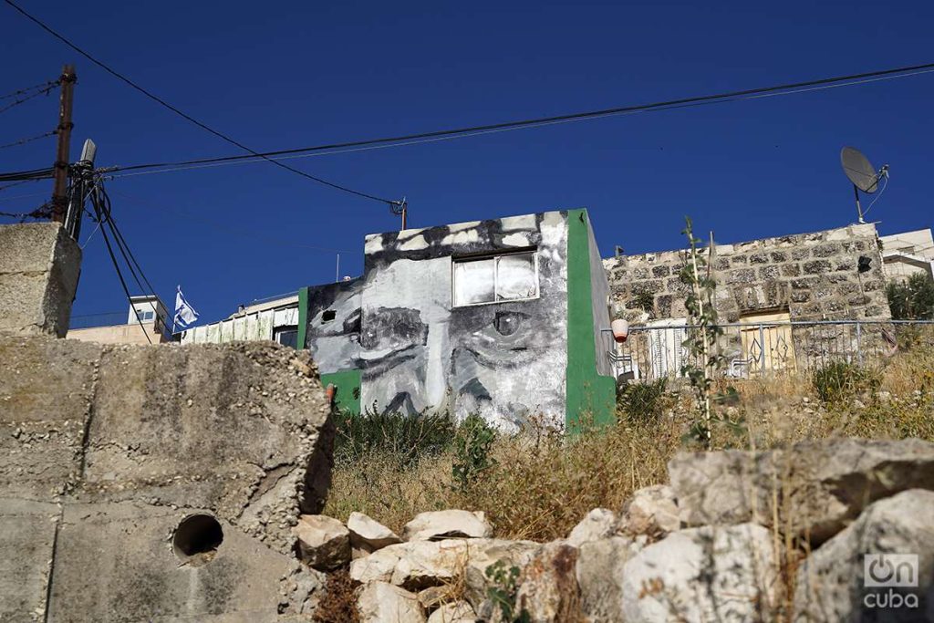 Creo adivinar, debajo de una kufiya palestina, la mirada de Yasser Arafat. Foto: Alejandro Ernesto.
