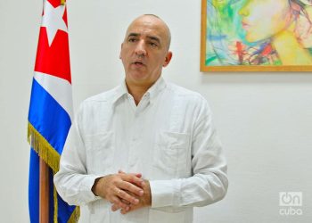 Ernesto Soberón Guzmán, director general de Asuntos Consulares y de Atención a Cubanos Residentes en el Exterior de la Cancillería cubana. Foto: Otmaro Rodríguez.