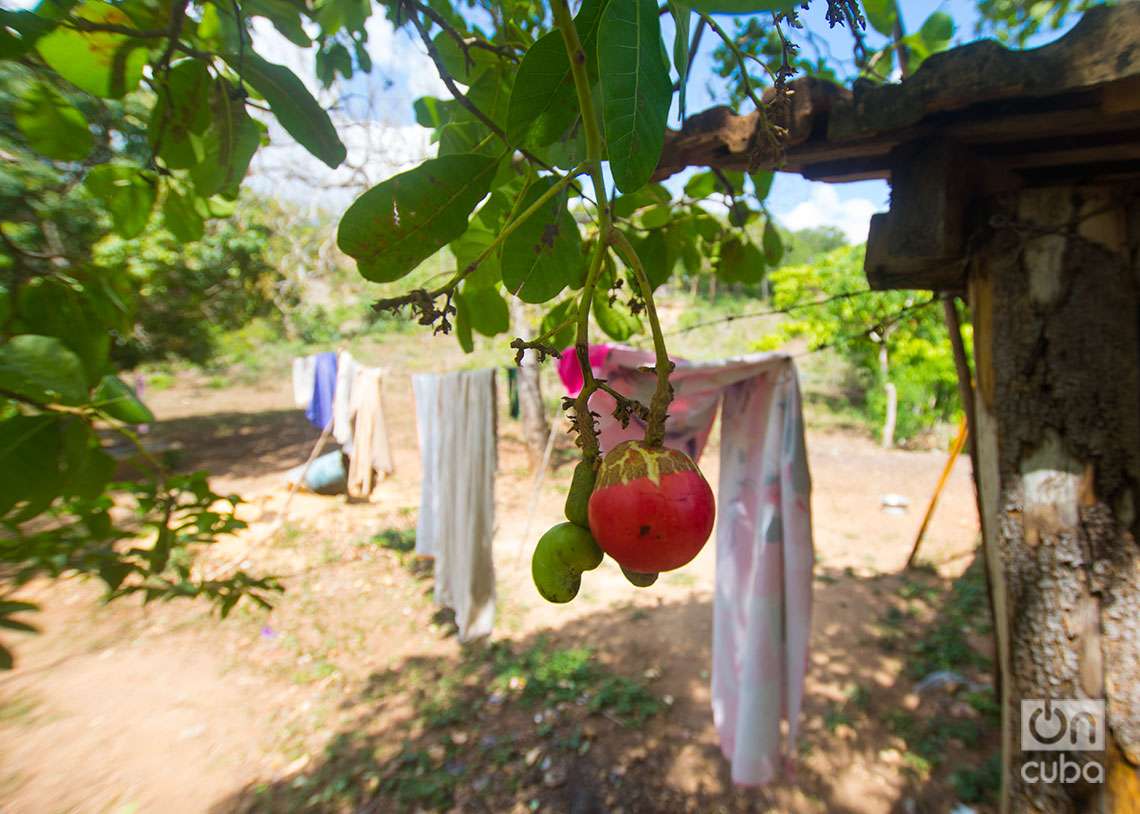Frutas y ropas lavadas en el Valle de Los Ingenios. Foto: Otmaro Rodríguez.