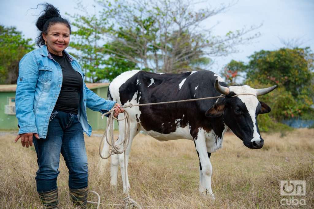 Mariposa, la vaca alimentada con leche de chiva y su mamá humana. Foto: Jorge Ricardo.