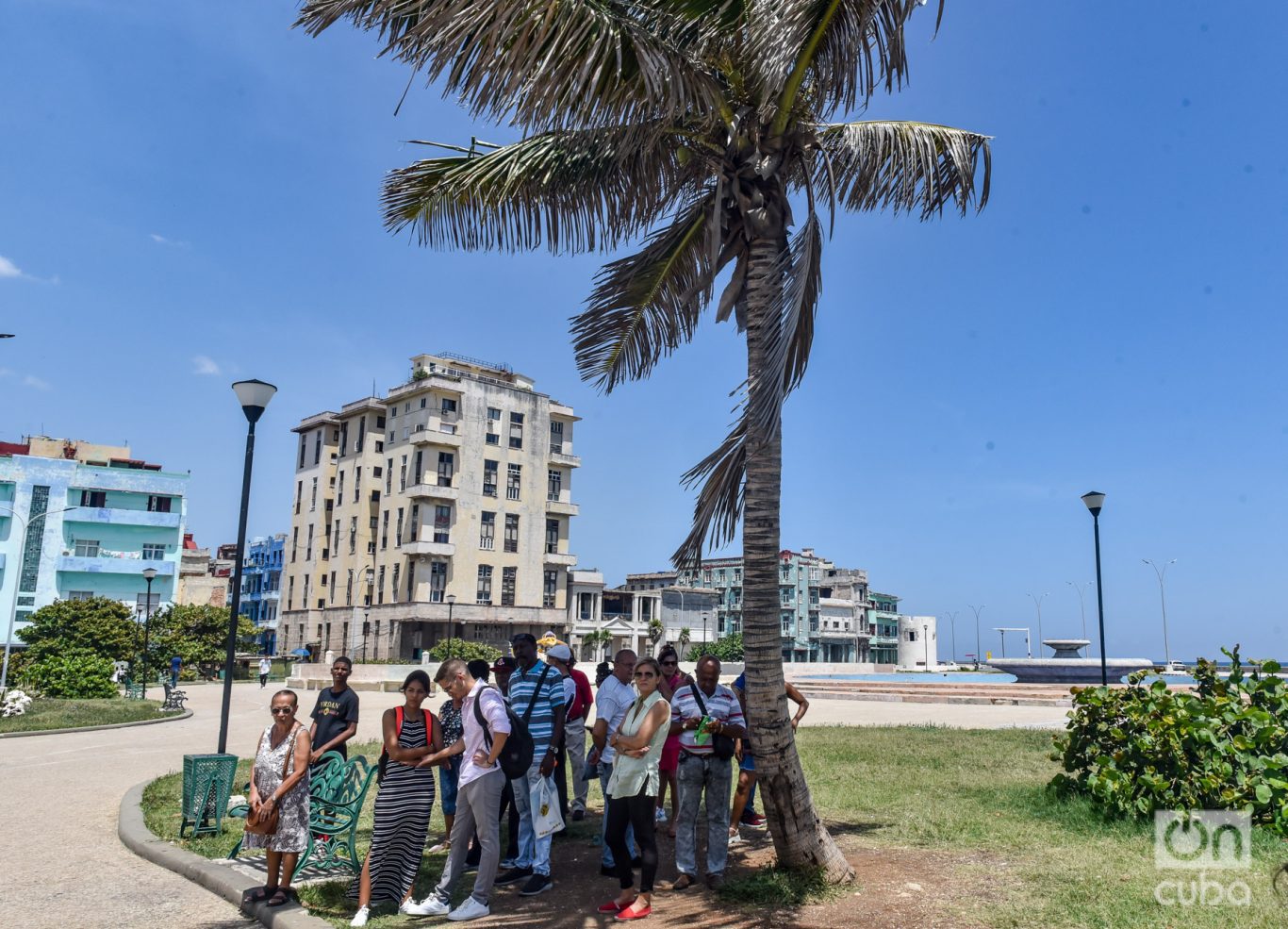 Un grupo de personas en La Habana se cobija a la sombra de una palmera en espera de la guagua. Foto: Kaloian.