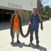 Jake Waleri (d), junto con Stephen Gauta (i) posan con la pitón, en la sede del centro en Naples, Florida. Foto: Conservacy of Southwest Florida /EFE.