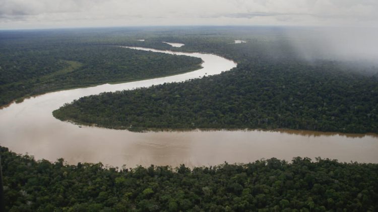 Amazonia. Foto: France 24.