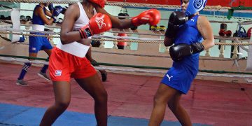 Sesión de entrenamiento de la selección cubana de boxeo femenino, en el gimnasio del Estadio Panamericano, en La Habana. Foto: Otmaro Rodríguez.