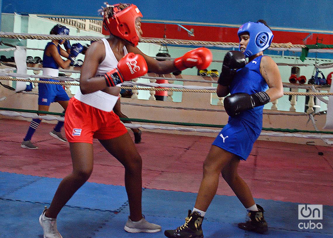 Sesión de entrenamiento de la selección cubana de boxeo femenino, en el gimnasio del Estadio Panamericano, en La Habana. Foto: Otmaro Rodríguez.