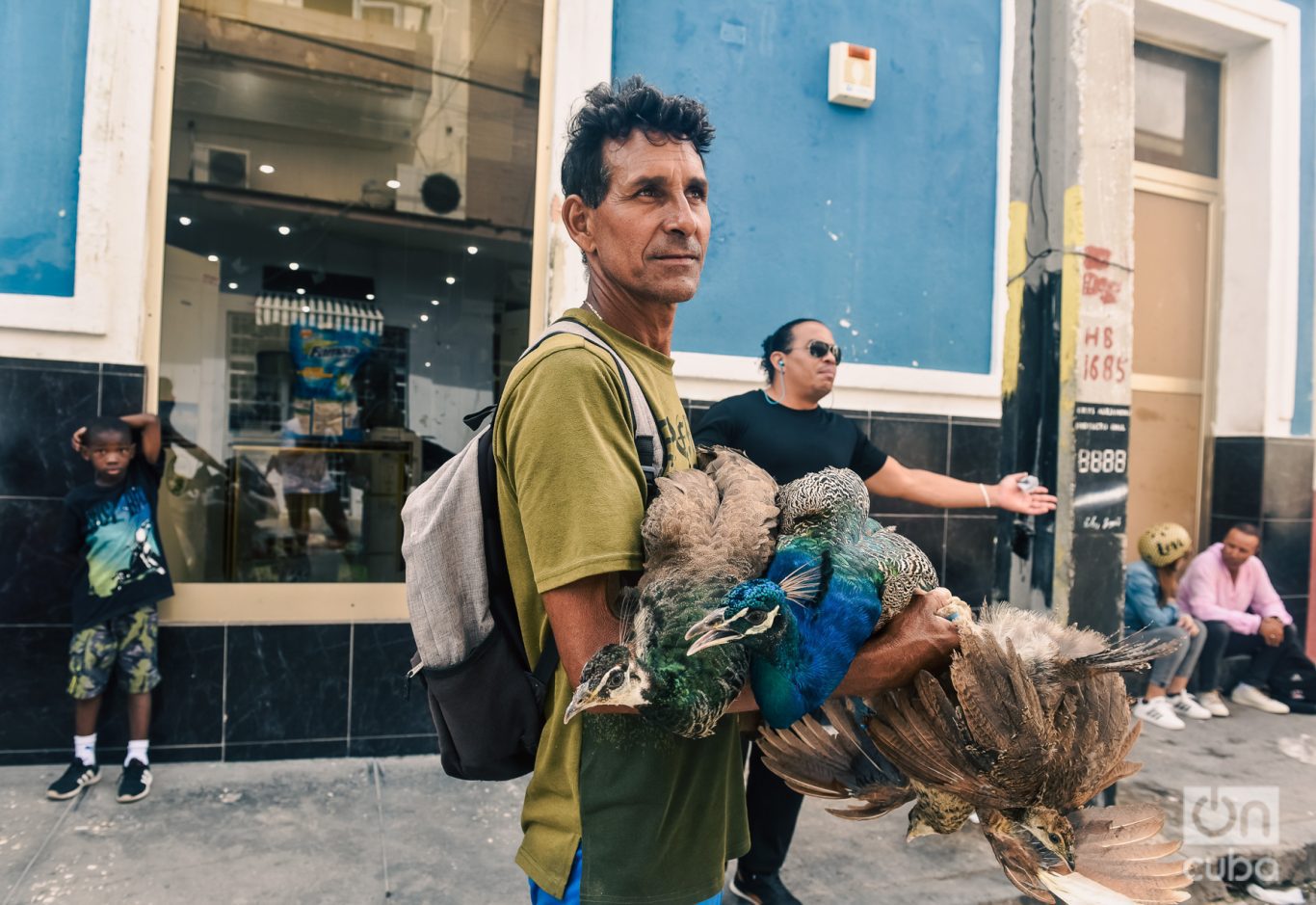 Pasaba entre la gente vendiendo pavos y gallinas. Al fondo, como en una escena a lo Cartier-Bresson, otros personajes de la escena. Foto: Kaloian.