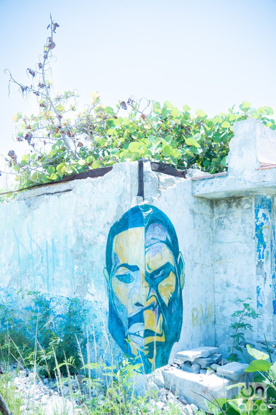 Obras de artistas anónimos decoran las paredes agrietadas. Foto: Jorge Ricardo.