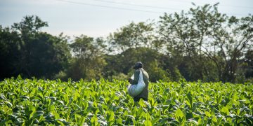 sector agroalimentario Cuba