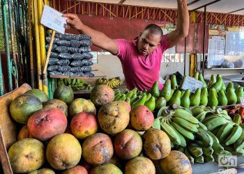 Productos agrícolas a la venta en un puesto cubano. Foto: Kaloian / Archivo.