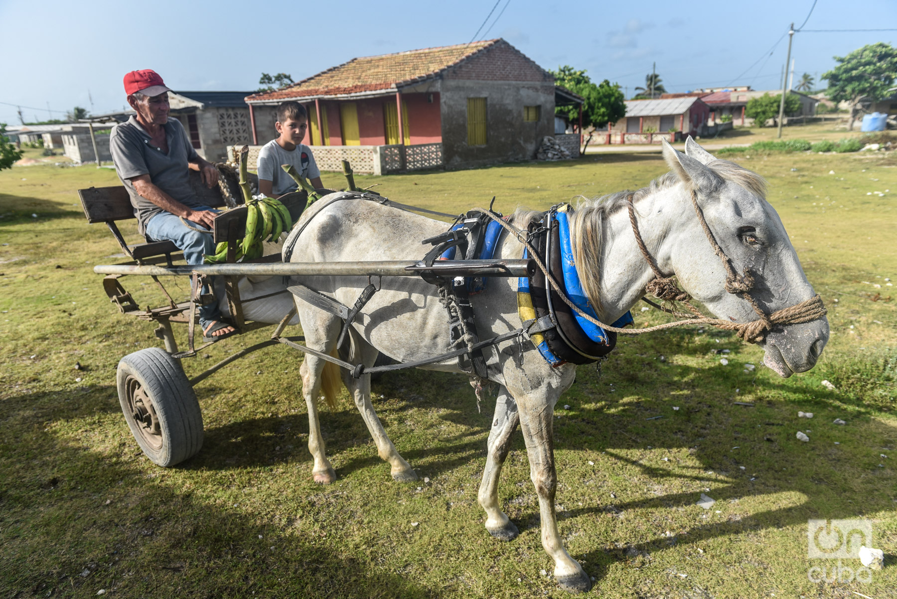 Despoblamiento rural en Cuba, cuestión de desigualdad - OnCubaNews