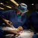 Cirujanos de la Universidad de Nueva York trasplantando un riñón de cerdo. Foto: Joe CarrottaNYU Langone HealthNature.