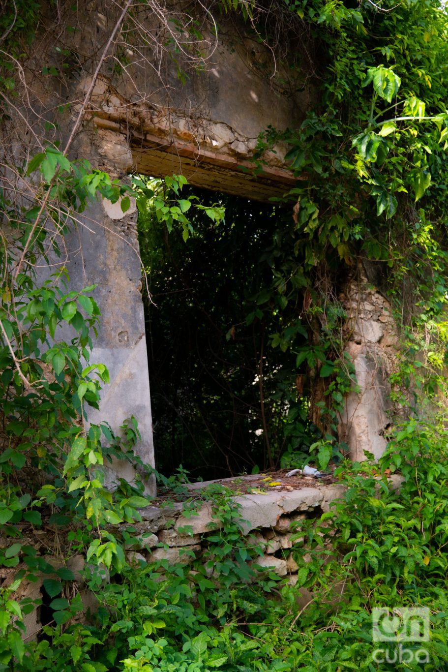 Una de las grandes ventanas vestida de verde. Foto: Jorge Ricardo.