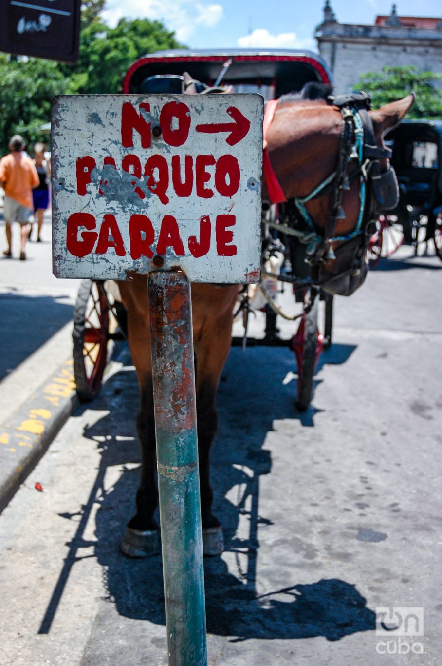 Caballos de coche para paseo de turista en La Habana. Foto: Kaloian.

