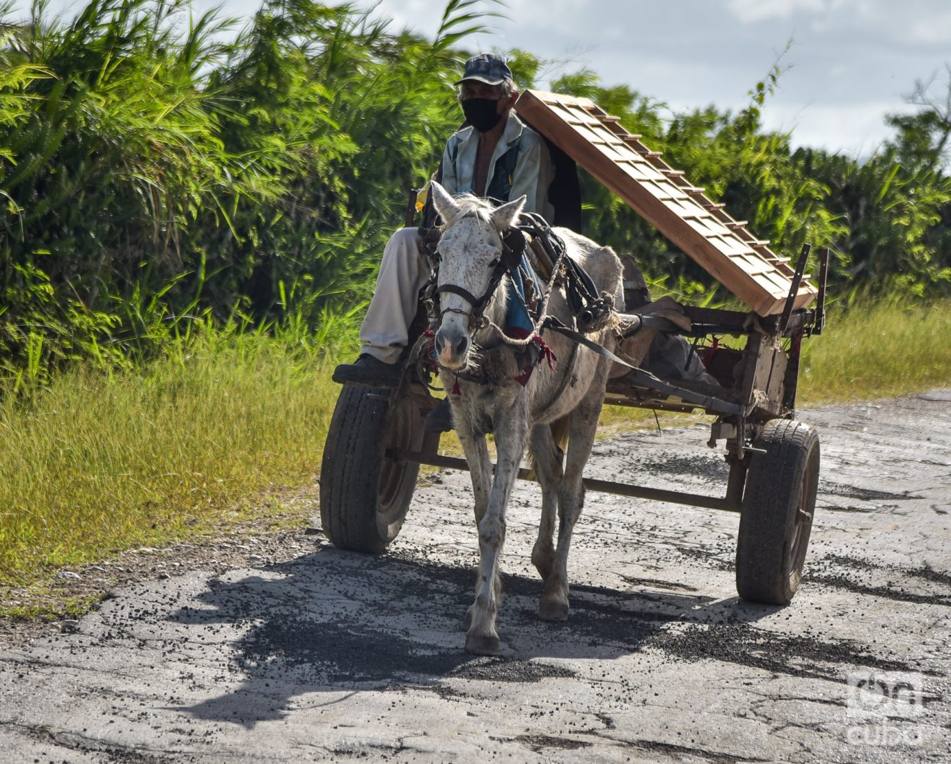 Carretón tirado por un caballo endeble por la carretera de Gibara. Foto: Kaloian.
