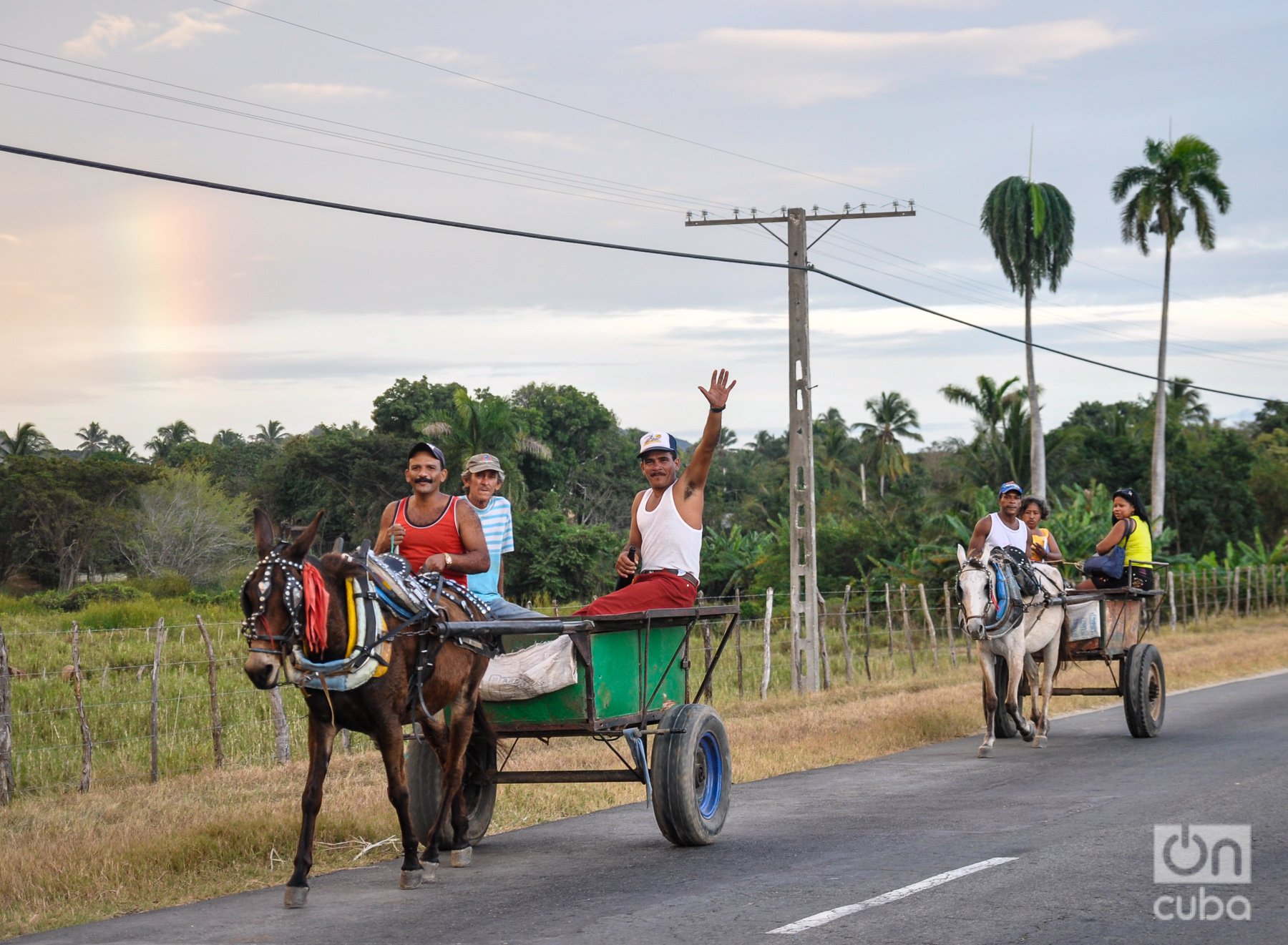 Carretones de caballos por la carretera de la Gran piedra, en Santiago de Cuba. Foto: Kaloian.