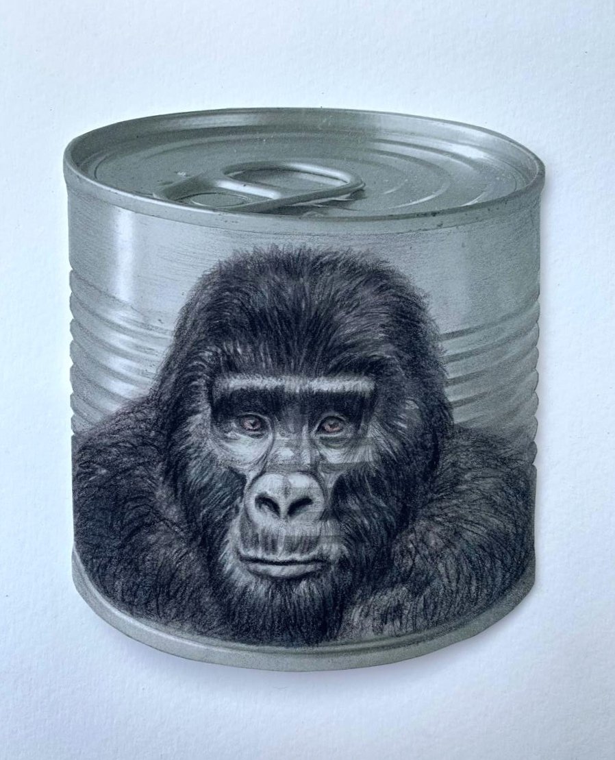 “Gorila de montaña”, 2023. Dibujo con acuarela y creyón sobre impresión digital, 28 x 31 cm.  
