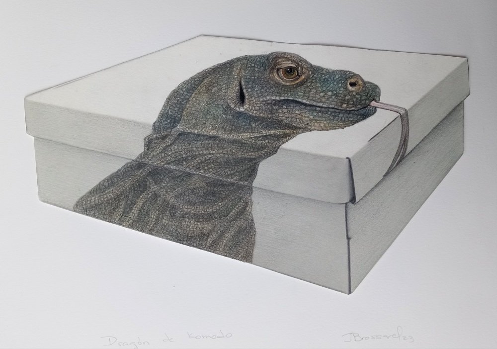 “Dragón de Komodo”, 2023. Dibujo con acuarela y creyón sobre impresión digital, 30 x 41 cm. 