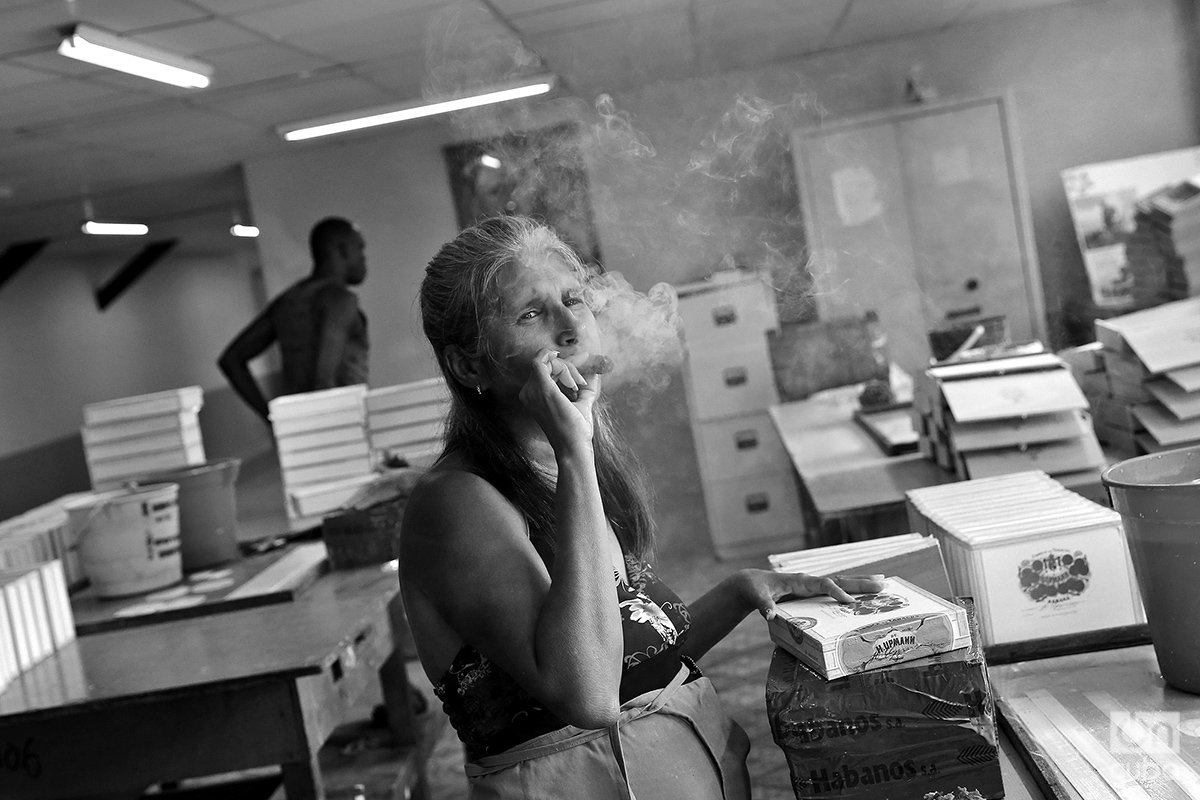 Para muchos no hay placer como el de fumarse un puro. Fábrica en La Habana. Foto: Alejandro Ernesto.